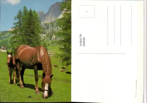 ,Tiere Pferde Stute Fohlen Landschaft