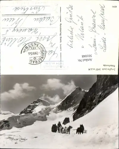 501048,Hunde Jungfrau Joch Interlaken Polarhunde Winterlandschaft Hundeschlitten
