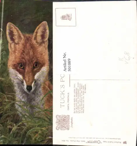 501089,Künstler Ak Jungfuchs Fuchs pub Rapheal Tuck Sons 854