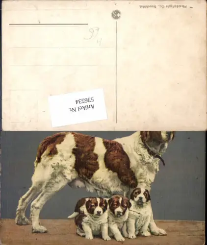 536534,Künstler AK Hund Hunde Bernhardiner Welpen