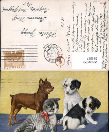 536537,tolle Künstler AK Hund Hunde Katze Welpen