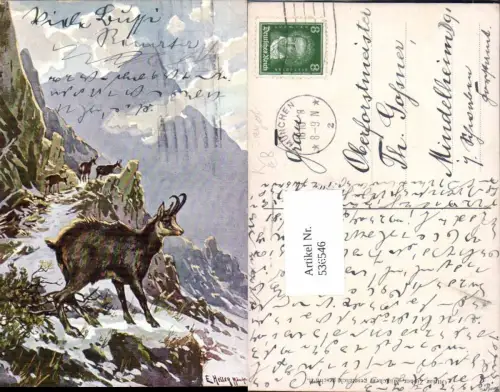 536546,Künstler AK E. Heller München Jagd Tiere Gemsen