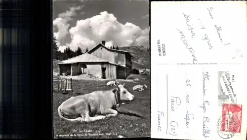 536552,Tiere Kuh Rind La Chalet Dent de Vaulion