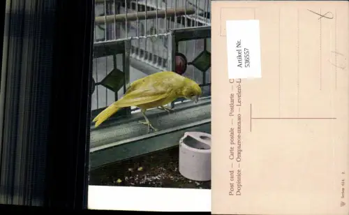 536557,tolle AK Tiere Vogel Käfig Vogelkäfig