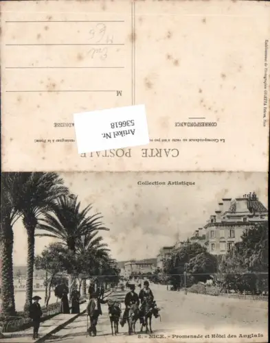 536618,Tiere Esel Nice Promenade Hotel des Anglais