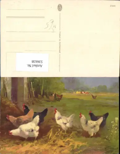 536638,Künstler AK Tiere Hühner Geflügel