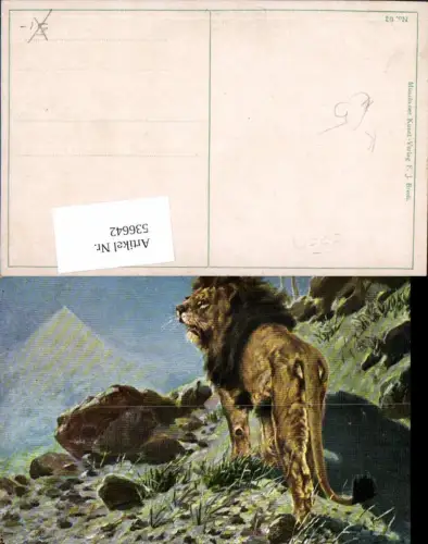 536642,tolle Künstler AK Tiere Löwe