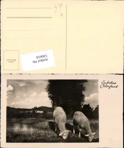 536654,Tiere Schafe Ostern