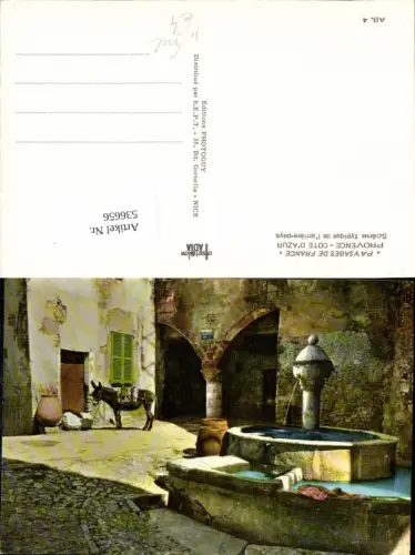 536656,Tiere Esel Brunnen