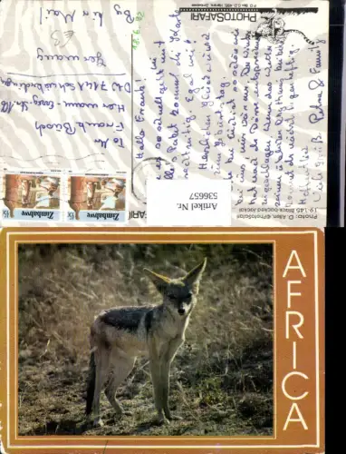536657,Tiere Africa Safari