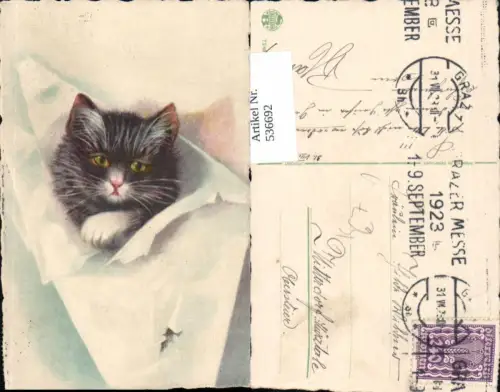 536692,Tiere Künstler AK Katze