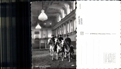 537333,tolle AK Wien Spanische Reitschule Lipizzaner Pferde Pferd