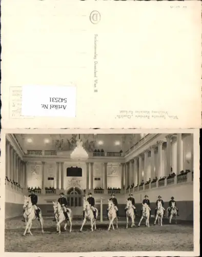 542531,Foto-AK Wien Spanische Hofreitschule Pferde Pferd Lipizzaner