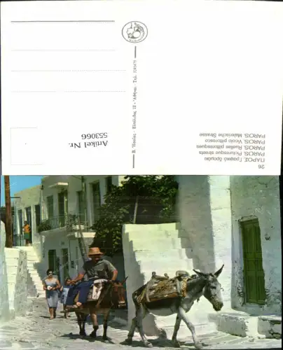 553066,Tiere Esel Greece Paros