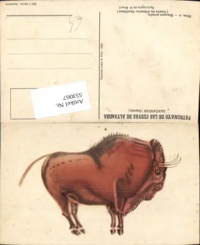 553067,Tiere Santander Spain Bison Cuevas de Altamira
