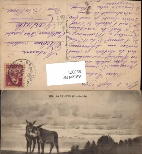 553071,Tiere Esel Au Saleve Haute Savoie