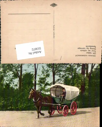 553072,Tiere Kutsche Pferd Zeeuwse