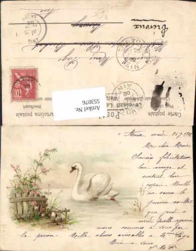 553076,Tiere Schwan Lithographie 1902 Litho