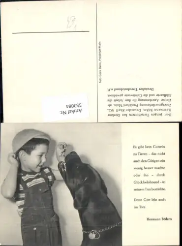 553084,Tiere Hund Kind Bub Junge Hermann Böhm Spruch