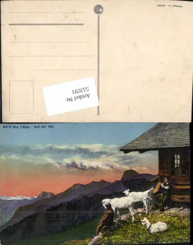 553091,Tiere Sur Alpe Auf der Alp Alpe Ziege Schweiz
