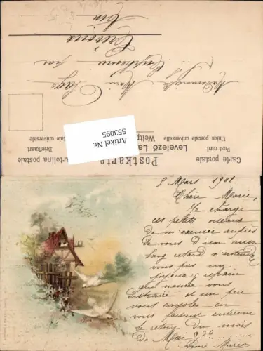 553095,Tiere Vogel Vögel Lithographie Litho Taube pub Albrecht e Meister Berlin