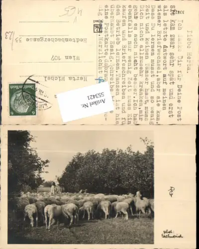 553421,Tiere Hirte m. Schafe Schaf Kindberg Stp.
