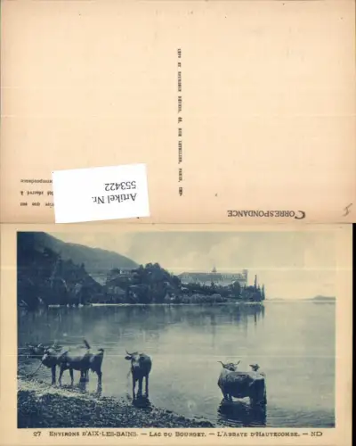 553422,Tiere Aix les Bains Lac du Bourget Rinder Rind