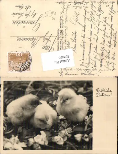 553430,Tiere Küken Ostern