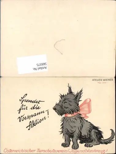 569375,Österreichischer Tierschutzverein Jugendblaukreuz Hund Atelier Wiener