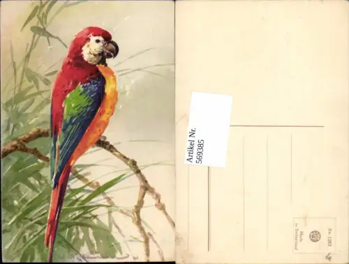 569385,Künstler AK Catharina Klein Vogel Papagei