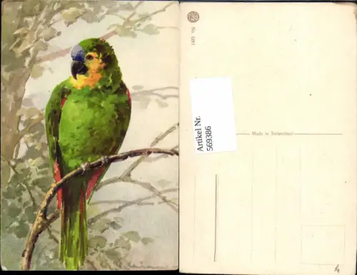 569386,Künstler AK Catharina Klein Vogel Papagei
