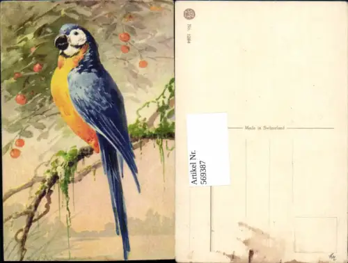 569387,Künstler AK Catharina Klein Vogel Papagei