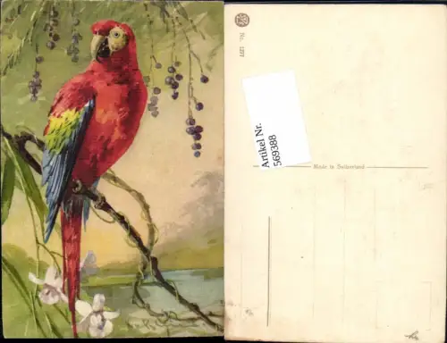 569388,Künstler AK Catharina Klein Vogel Papagei