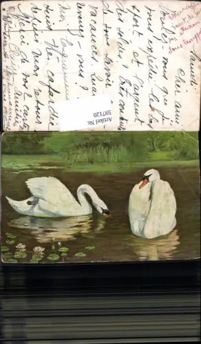597120,Künstler Ak Schwan Schwäne Seerosen Tiere