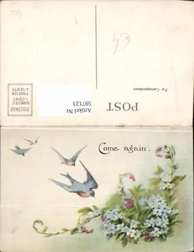 597123,Schwalben Blumen Come again Vogel Tiere