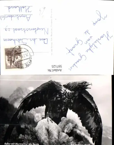 597125,Adler m. Murmeltier als Beute Vogel Tiere pub Risch-Lau 10429