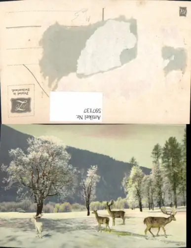 597137,Elch Elche m. Jungtieren Winterlandschaft Tiere