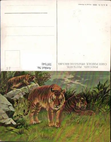597141,Künstler Ak Tiger Landschaft Tiere