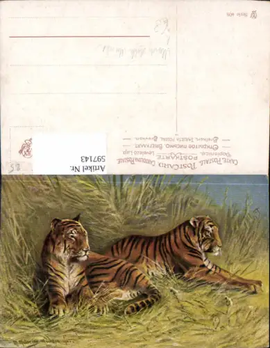 597143,Künstler Ak M. Müller jun. München Tiger Tiere