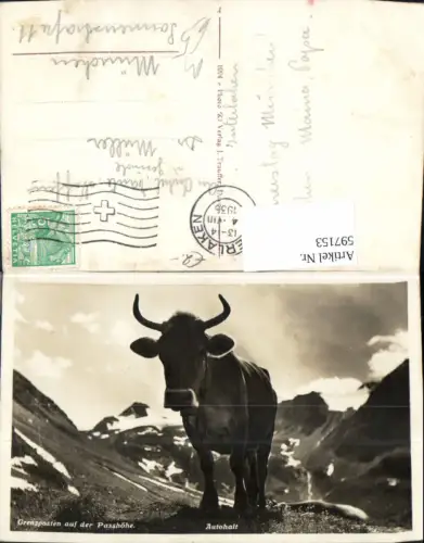 597153,Grenzposten a. d. Passhöhe Grenze Autohalt Kuh Rind Tiere