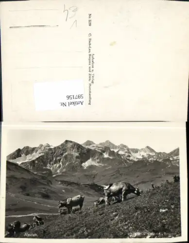 597156,Foto Ak Alpvieh Rinder Kühe a. Weide Tiere pub Risch-Lau 2259