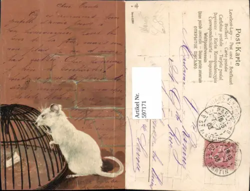 597171,Künstler Ak Maus sitzt v. Käfig Tiere
