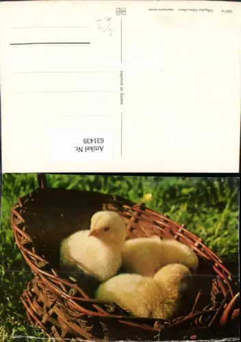 631439,Küken i. Nest Tiere