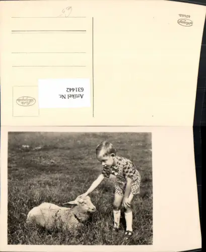 631442,Foto Ak Kind m. Schaf Tiere