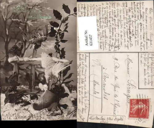 631457,Vögel Neujahr 1914 Tiere