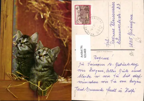 631469,Katzen Katzenkinder i. Stroh Tiere
