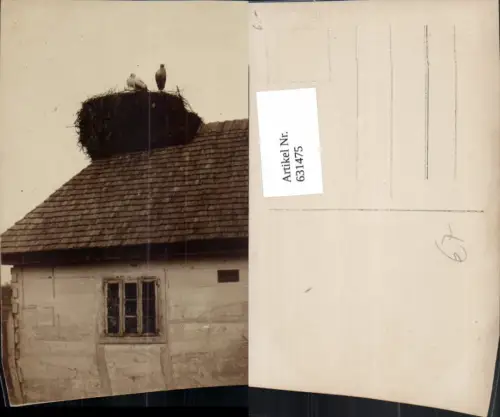 631475,Foto Ak Storchennest auf Haus Storch Störche Tiere