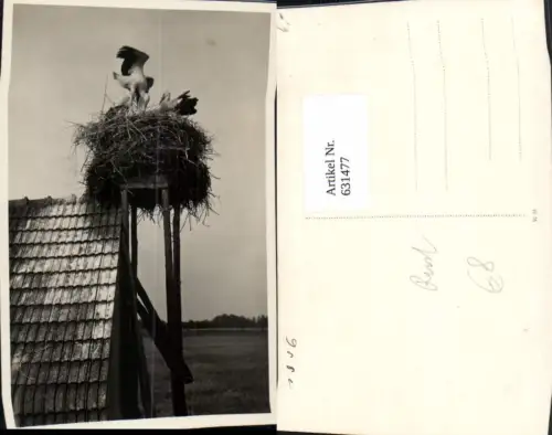 631477,Foto Ak Storchennest auf Haus Storch Störche Rust 1936 Tiere