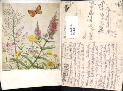631478,Künstler Ak Mundgemalt R. De Vos Weideblumen Schmetterling Insekt Tiere