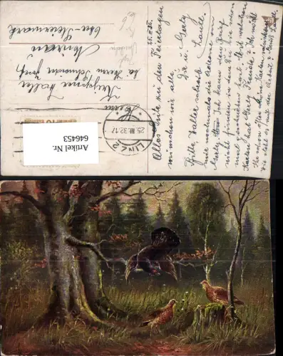 646453,Künstler Ak Jagd Auerhahn Tiere Wild